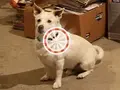 اوجد 10 اختلافات بين الصورتين