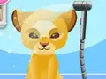 تنظيف الحيوانات المفترسة